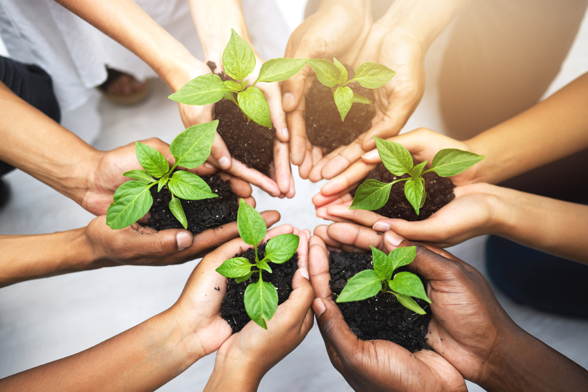 ethics sustainability quality