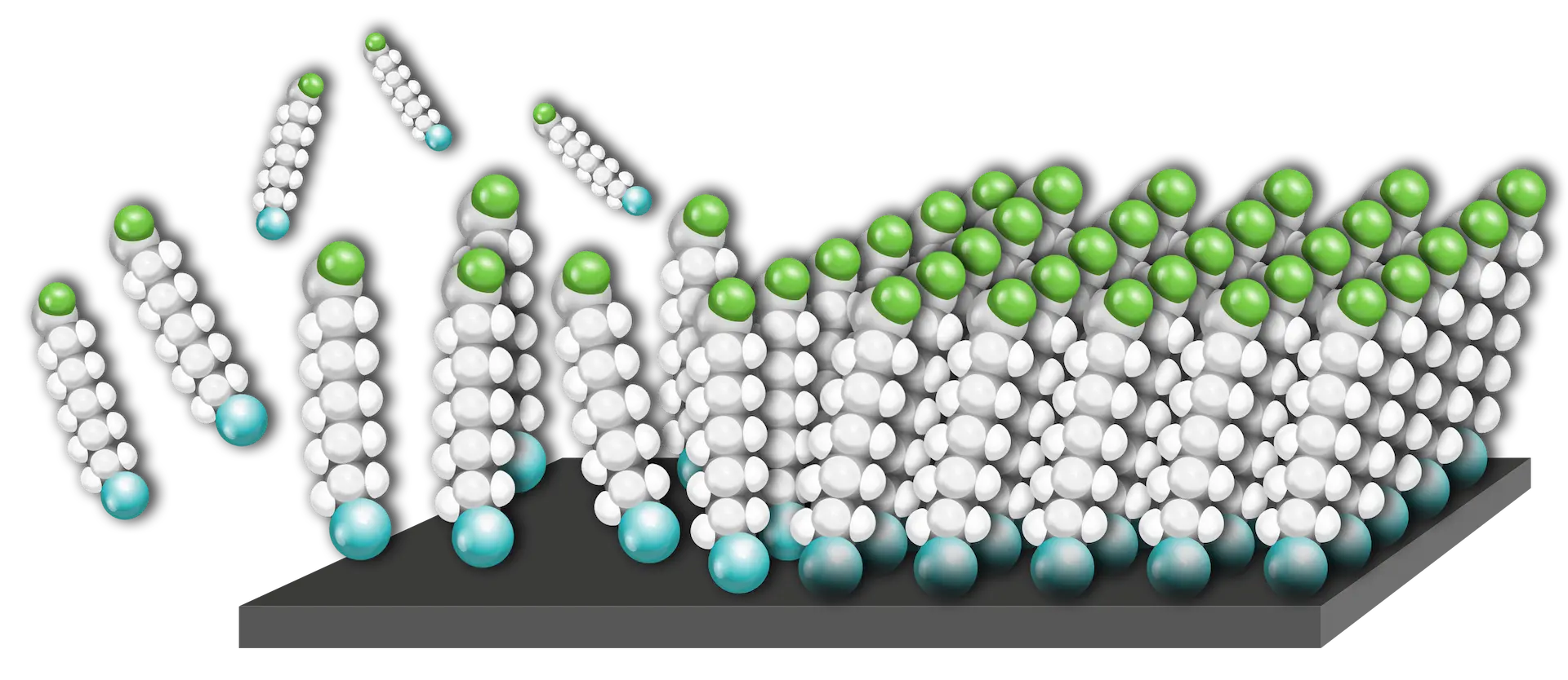 Self-assembled monolayer